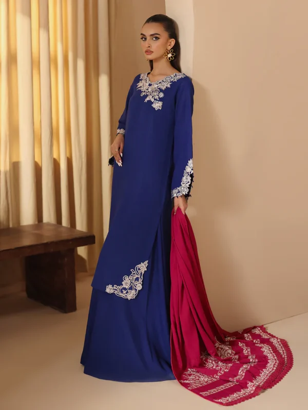 RAJBARI EMBROIDERED SHAWL SERIES - Image 2