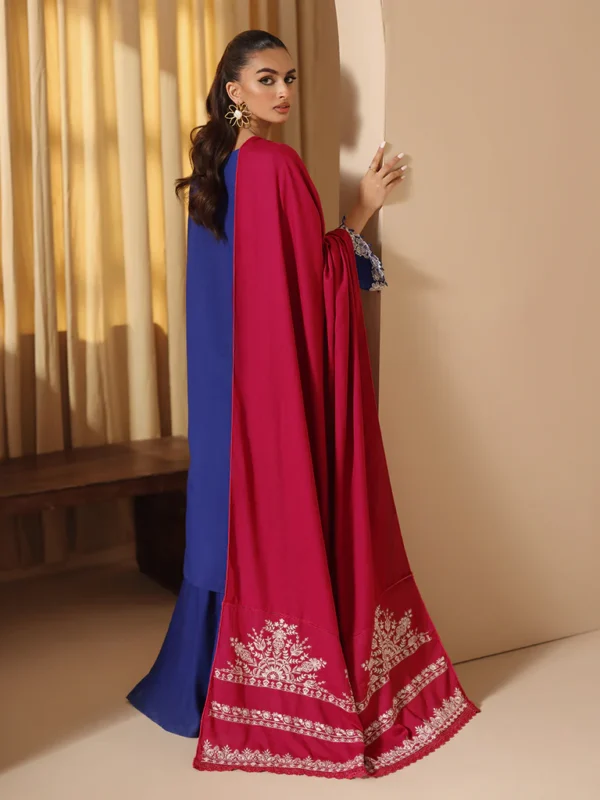 RAJBARI EMBROIDERED SHAWL SERIES - Image 3