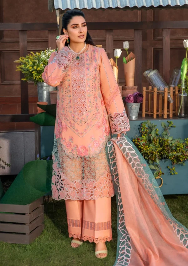 RANG RASIYA