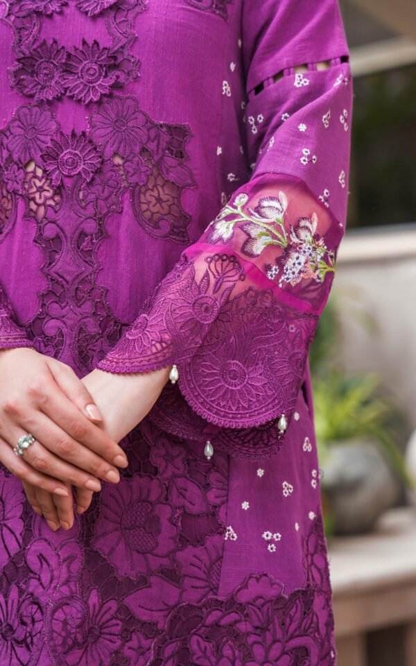 ASIFA & NABEEL WINTER - Image 2