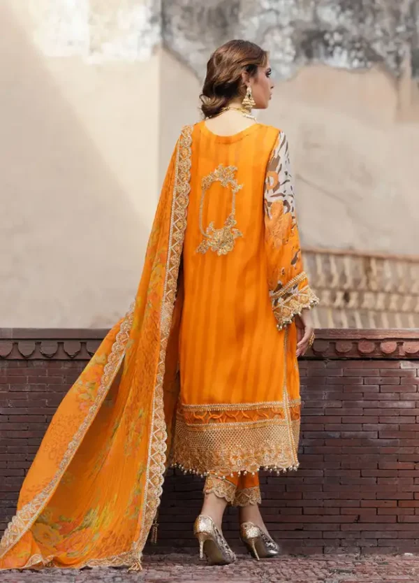 CHARIZMA VASAL FORMAL COLLECTION - Image 2